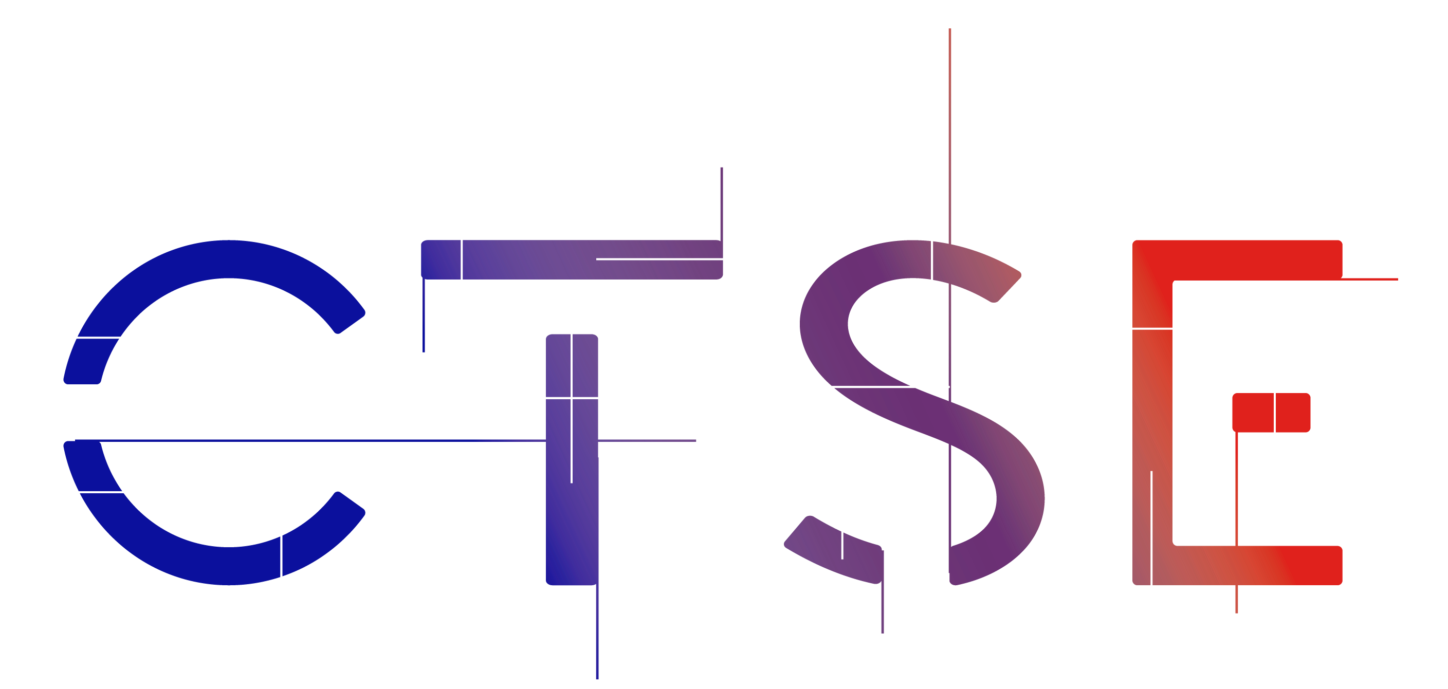 Caribbean Technology & Software Engineering Logo